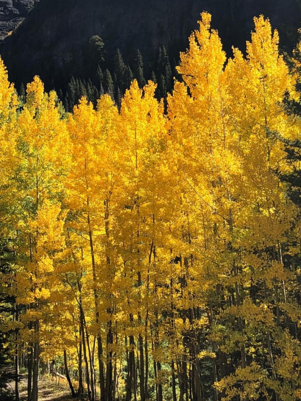 Timber Ridge Lodge Ouray Luaran gambar